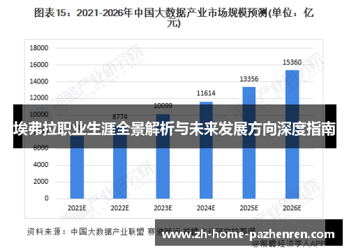埃弗拉职业生涯全景解析与未来发展方向深度指南